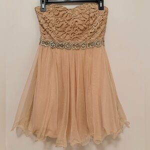 City Triangles Lace and Tulle Dress